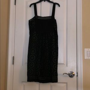 Cynthia Steffe Dress